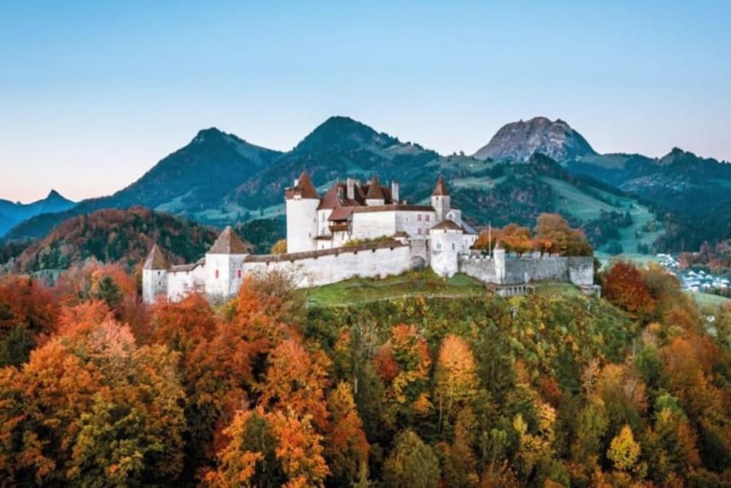 Appartement Spacieux Au Centre De La Gruyere بروك المظهر الخارجي الصورة
