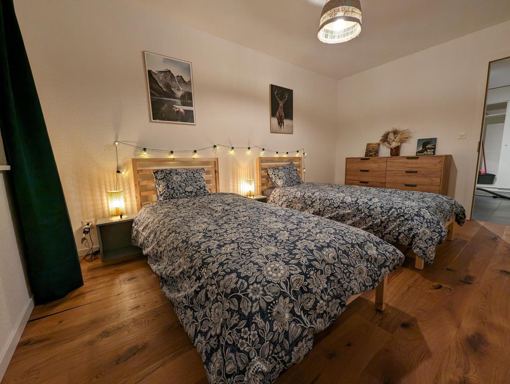 Appartement Spacieux Au Centre De La Gruyere بروك المظهر الخارجي الصورة